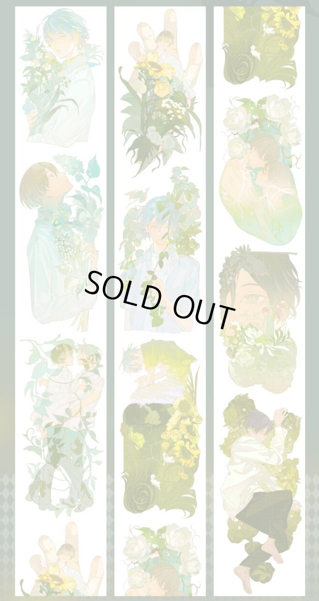 画像1: 【shine】林夏深-PET貝殻緑 (1)