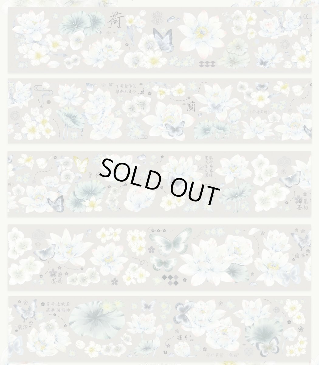 画像1: 【林野間】碧荷-PET貝殻光 (1)