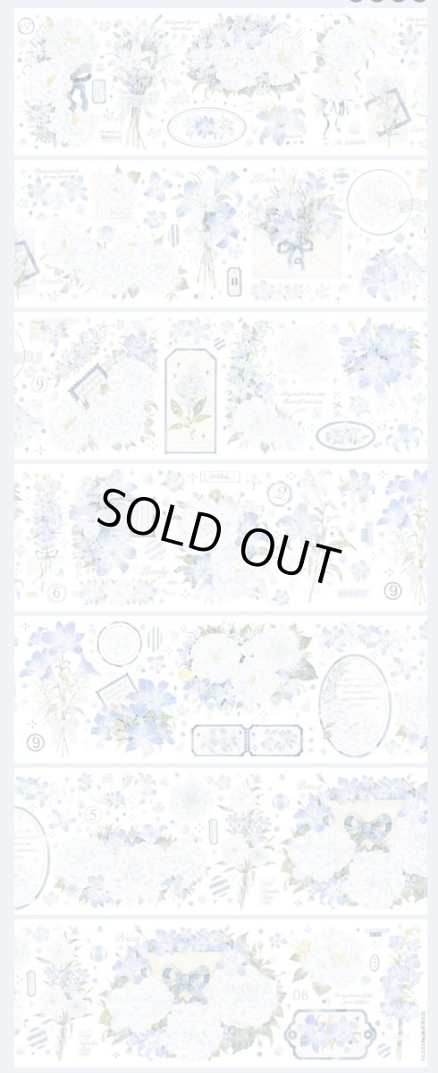 画像1: 【hoshi】蘭之芯-PET貝殻光 (1)