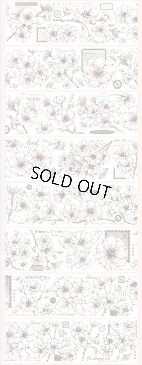 画像1: 【hoshi】粉雨桜-PET貝殻光 (1)