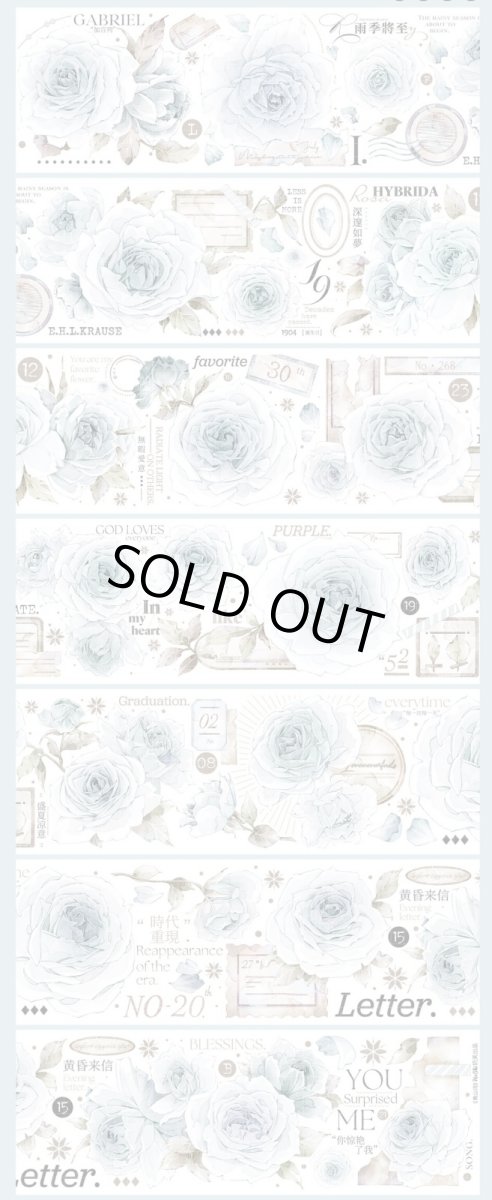 画像1: 【hoshi】青山詞-PET貝殻光 (1)