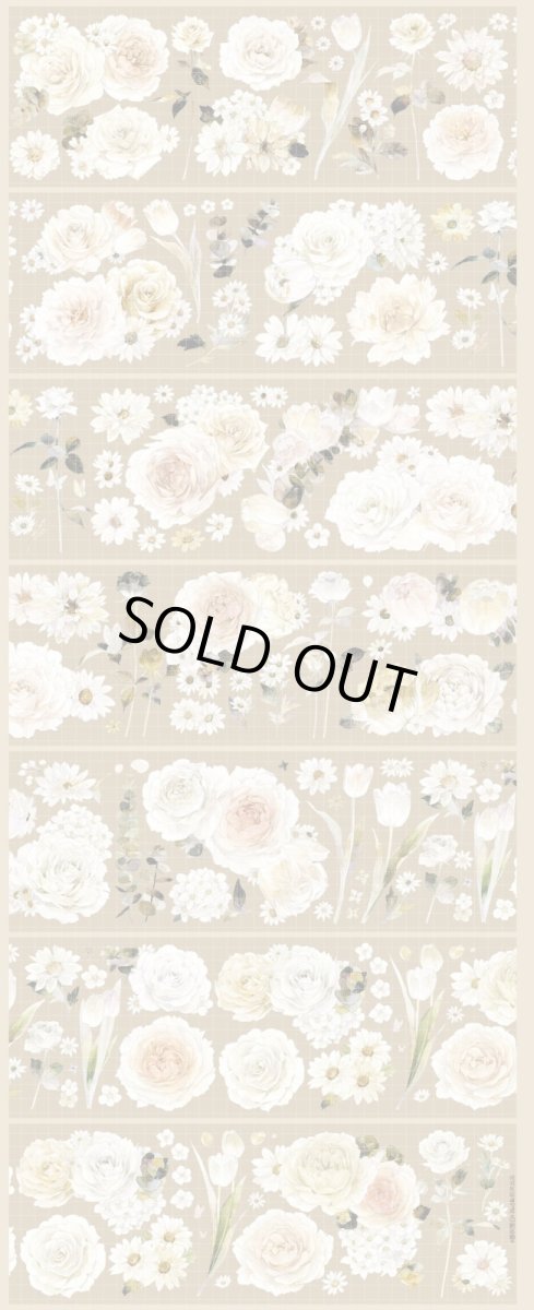 画像1: 【hoshi】香檳落日-PET貝殻光 (1)