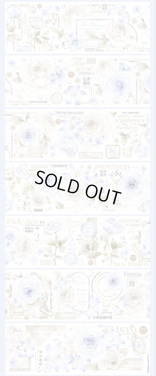 画像1: 【hoshi】純浄温柔-PET貝殻光 (1)