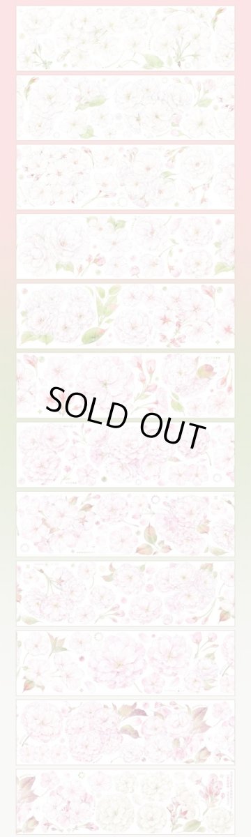 画像1: 【komos】薄櫻春暁-PET貝殻光 (1)