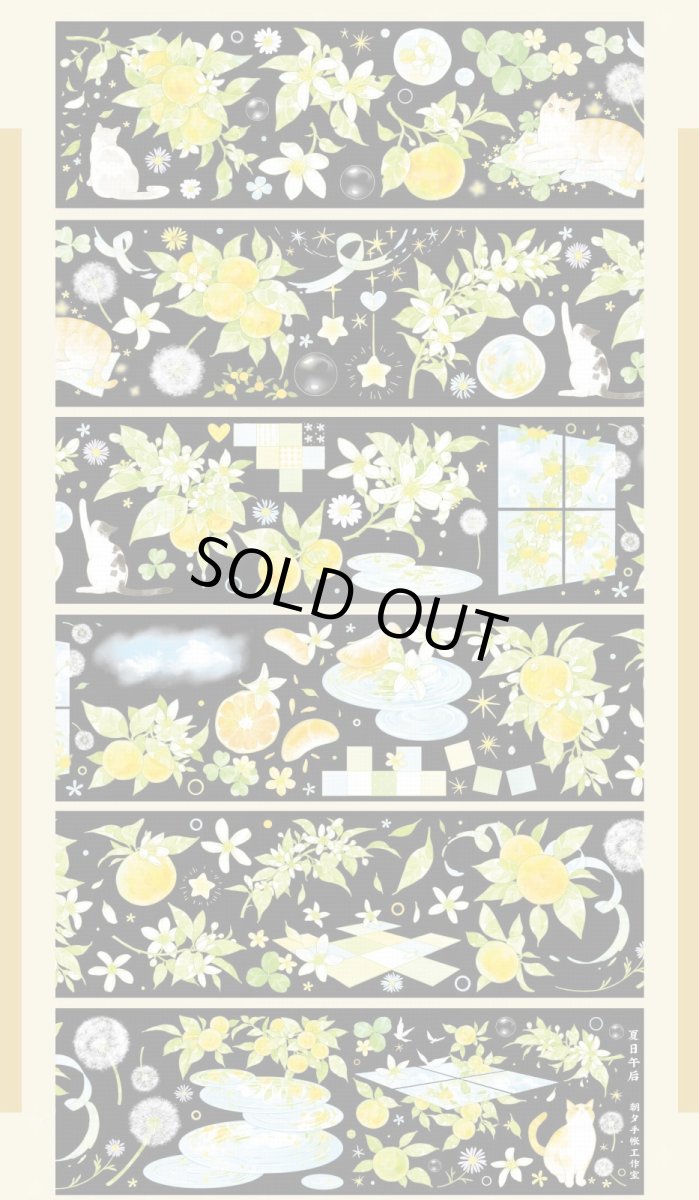 画像1: 【朝夕】夏日午後-PET貝殻光 (1)