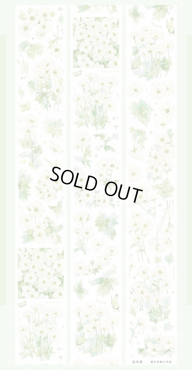 画像1: 【朝夕】虎耳草-PET貝殻光 (1)