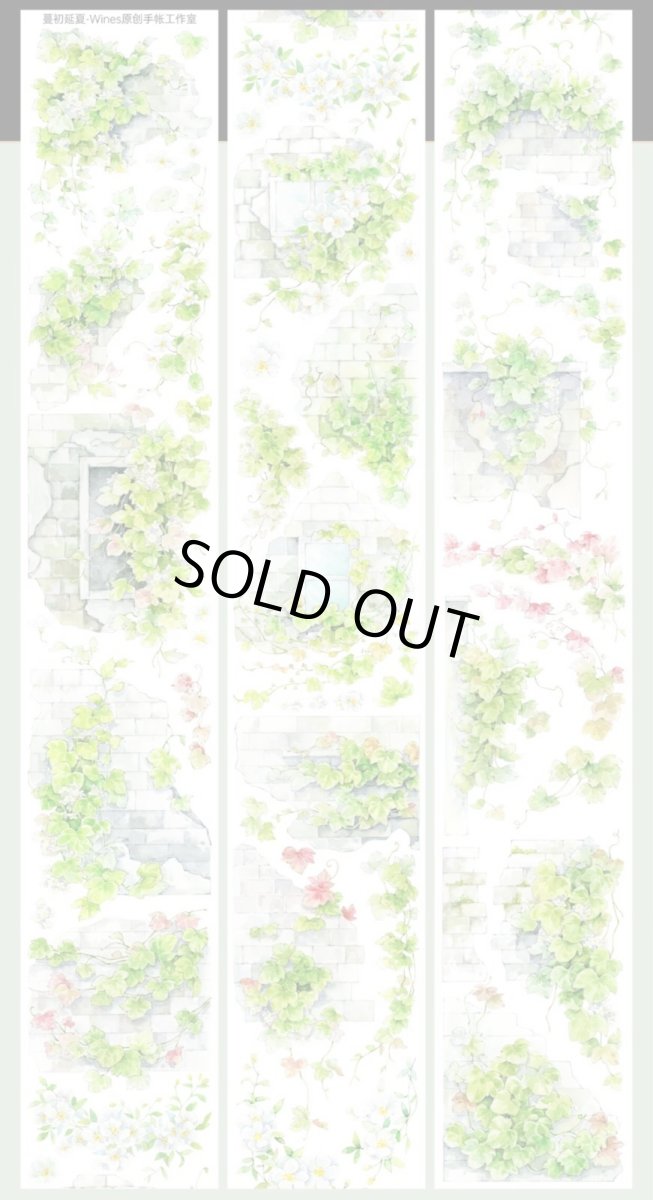 画像1: 【Wines】蔓初延夏-PET貝殻光 (1)