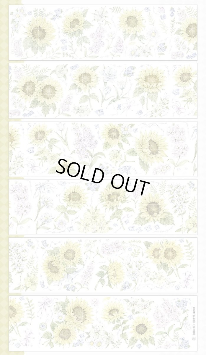 画像1: 【新七天】向日葵-PET貝殻光 (1)