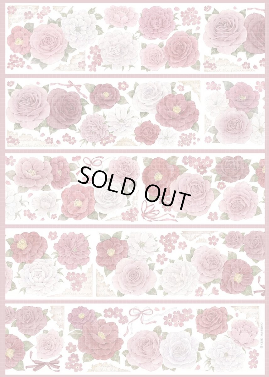 画像1: 【新七天】晩椿-PET貝殻光 (1)