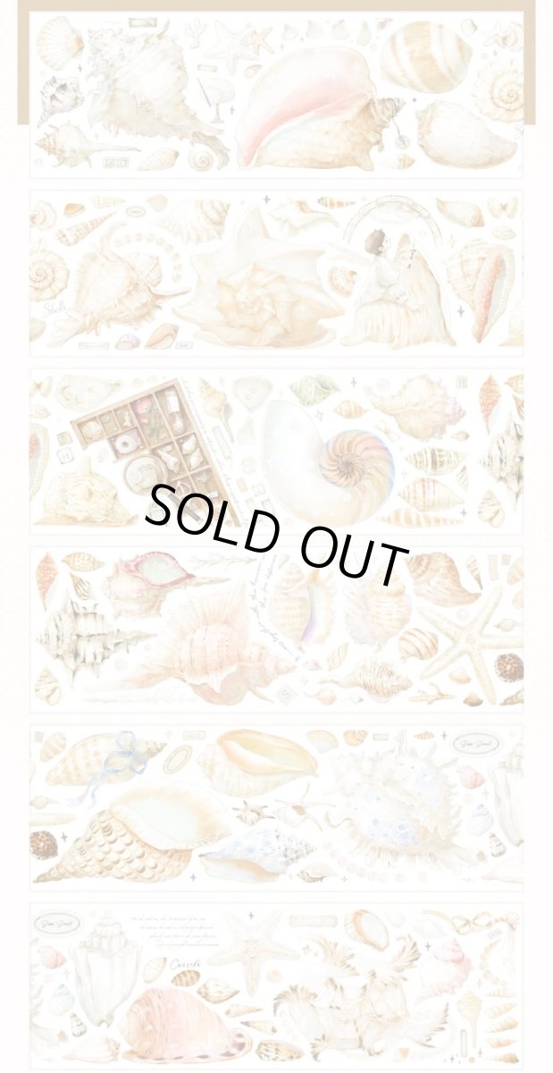 画像1: 【shine】海螺博物館-PET貝殻光 (1)