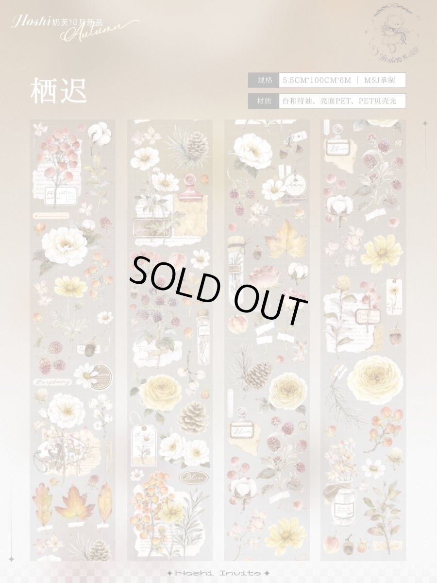 画像1: 【hoshi】棲遅-PET貝殻光 (1)