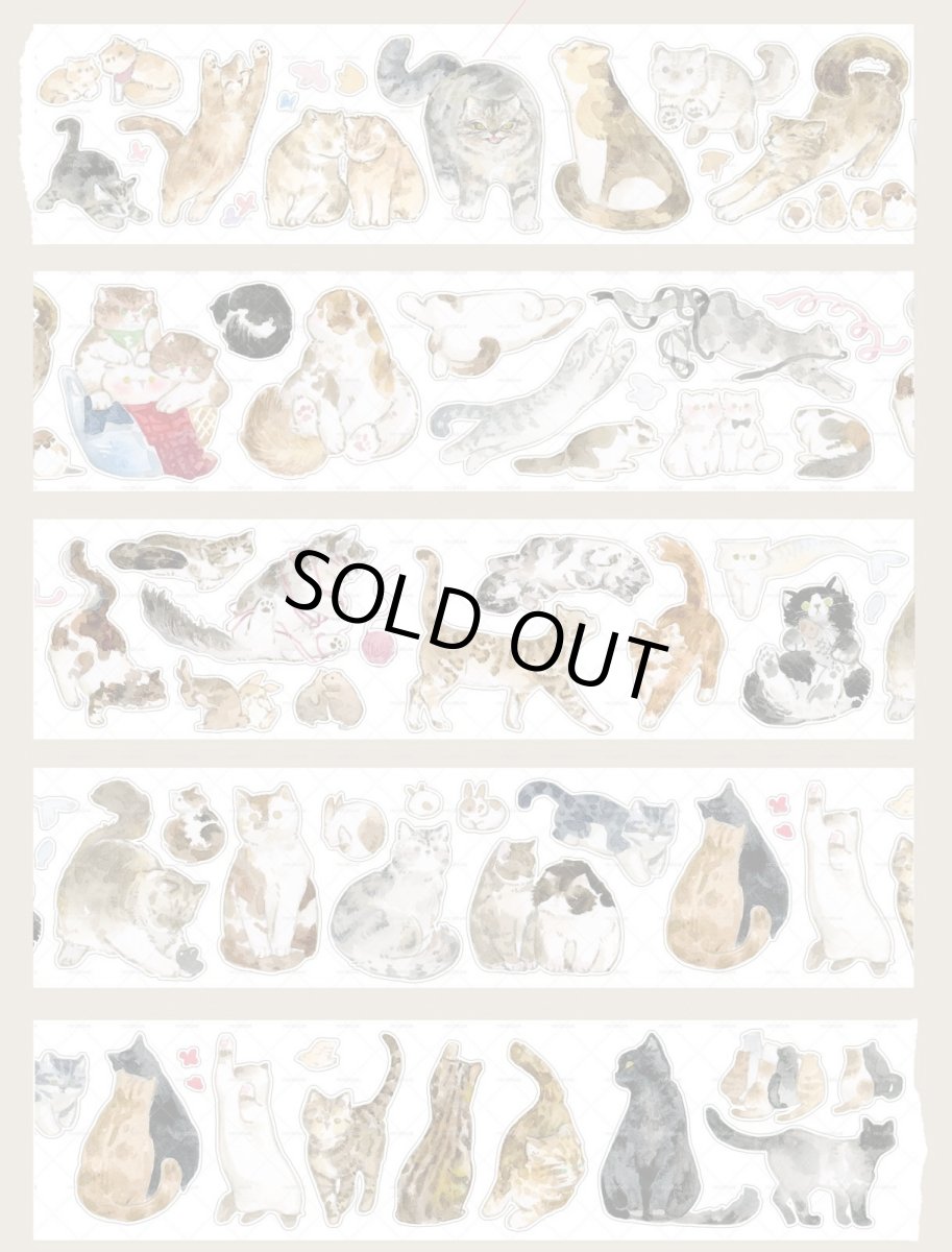 画像1: 【moodtape】布丁小猫-PET（ダイカット） (1)