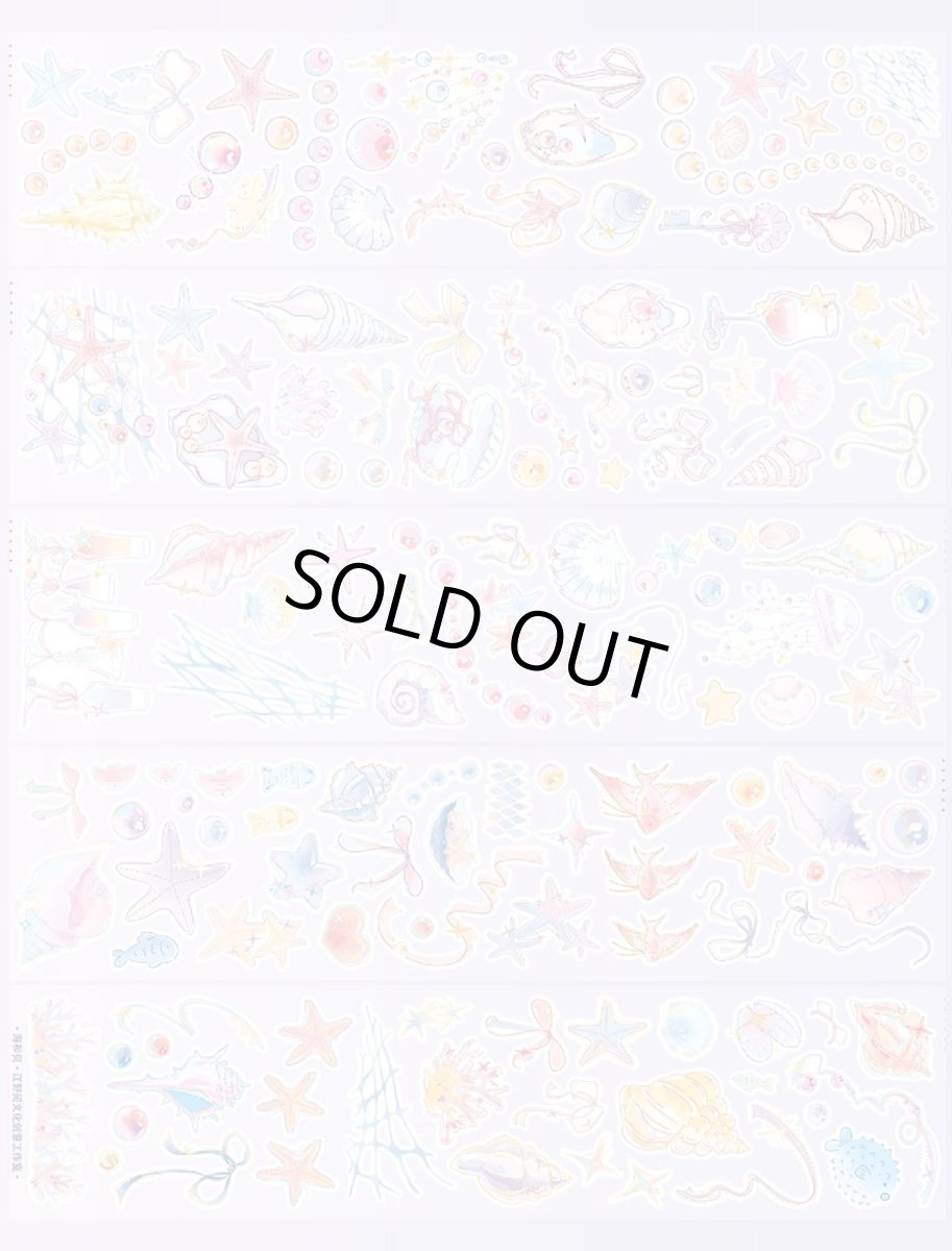 画像1: 【江野間】海和貝-PET霧面（ダイカット） (1)