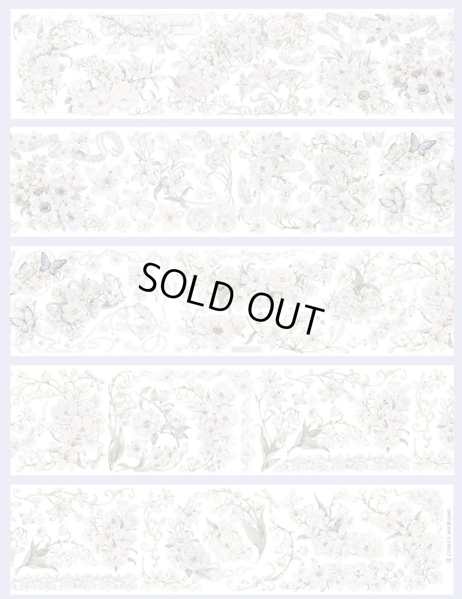 画像1: 【新七天】小蒼蘭-PET貝殻光 (1)