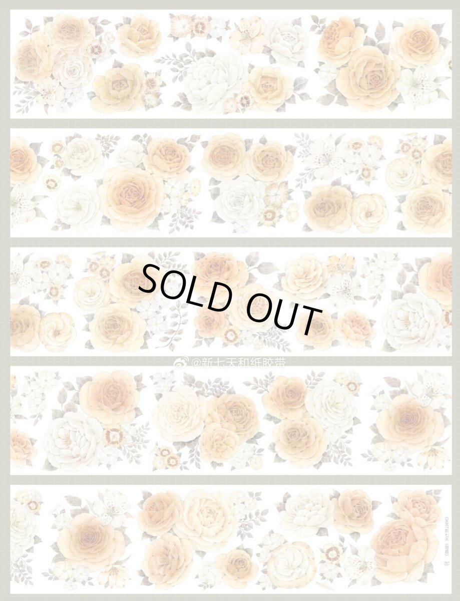 画像1: 【新七天】落霞-PET貝殻光 (1)