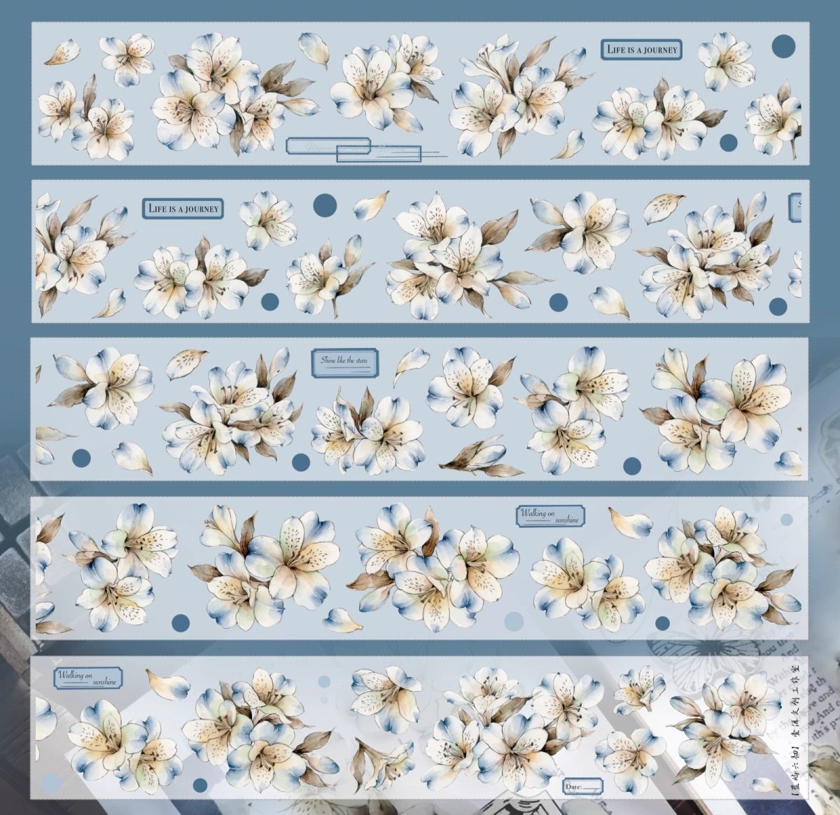 画像1: 【yier】藍嶼六初-PET貝殻光（ダイカット） (1)