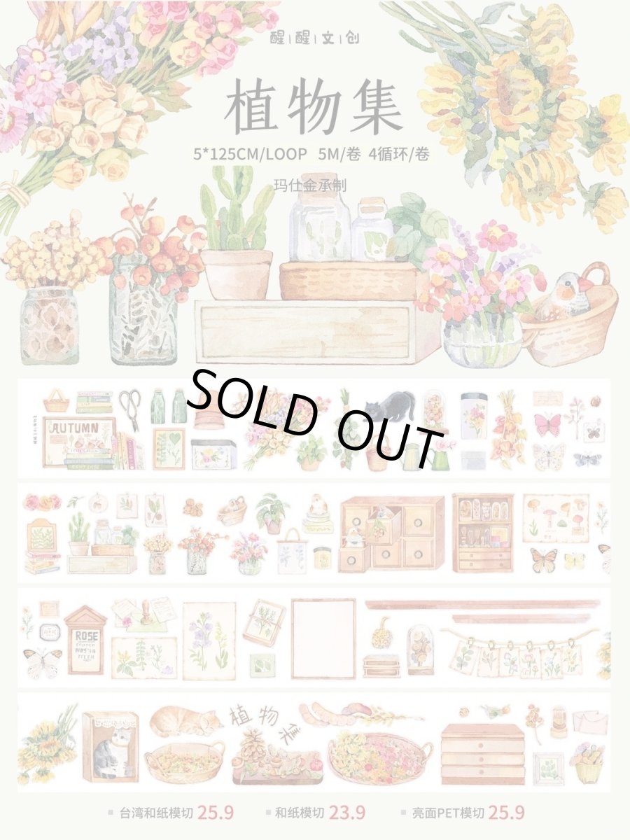 画像1: 【醒醒】植物集-PET透明（ダイカット） (1)