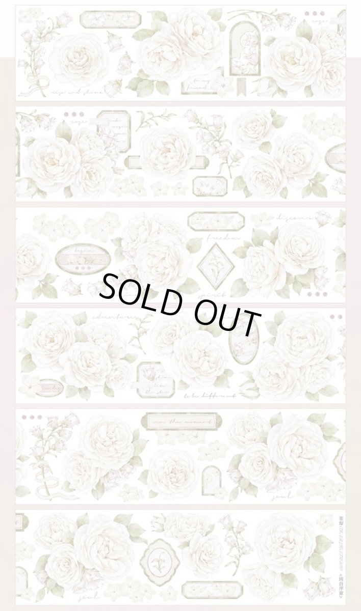 画像1: 【茶梨】純白序章-PET貝殻光 (1)