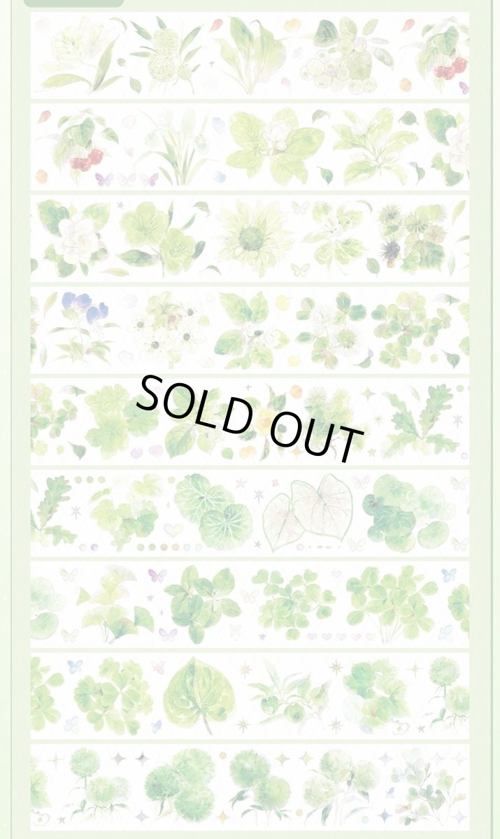 画像1: 【百嵐】茉莉雨-PET貝殻光 (1)