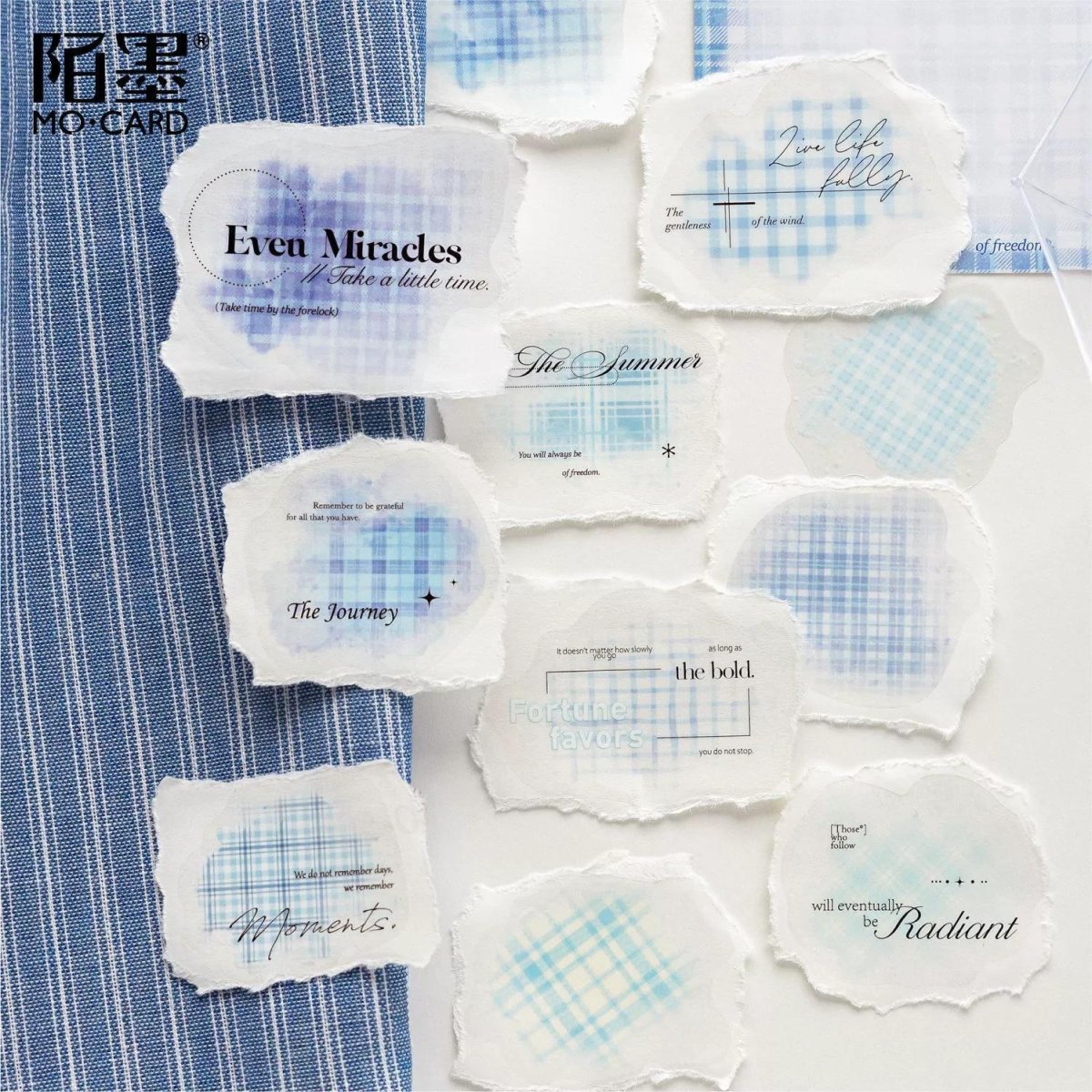 画像3: 【シール】彩色格紋舗系列 (3)